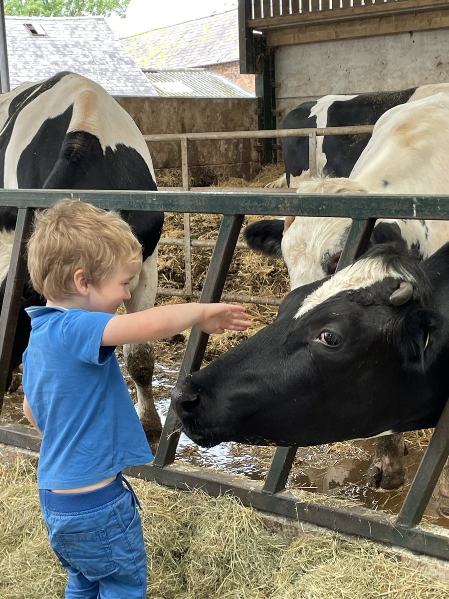 ShocklachSchool's tweet photo. Mrs Gilbert is loving the opportunity to get some hand on farming experience &amp; is learning lots from the young Shocklach farmers to help with her research for this project! https://t.co/dZOCOGiJ0a