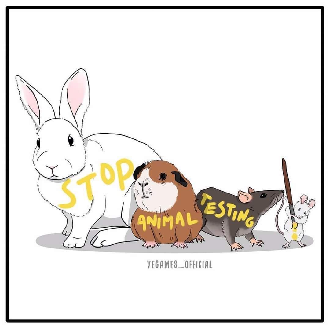 JoBob06's tweet photo. 👉 Sign the Pledge to Buy Cruelty-Free & Vegan Products: https://t.co/TRgIf3Zi2m
🎨: @VegamesOfficial
#illustration #cosmetics #stopanimaltesting #animals #animalrights #stopanimal https://t.co/d8Ze7pmQTB