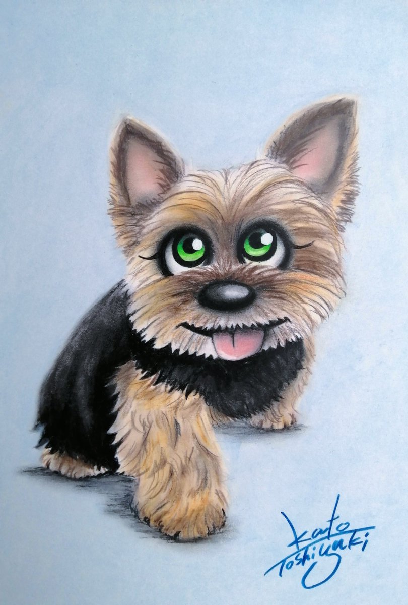 動物ペット画家🌟加藤トシユキ tweet media