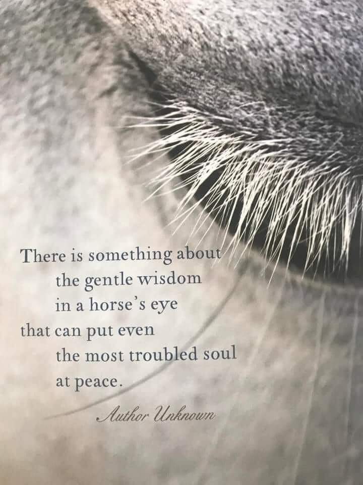 Deirdrevdr's tweet photo. #Sundayvibes https://t.co/yoZX0klszF