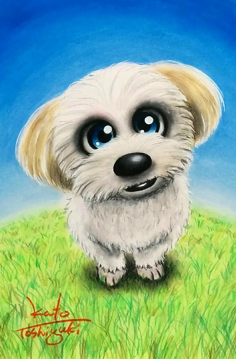動物ペット画家🌟加藤トシユキ tweet media