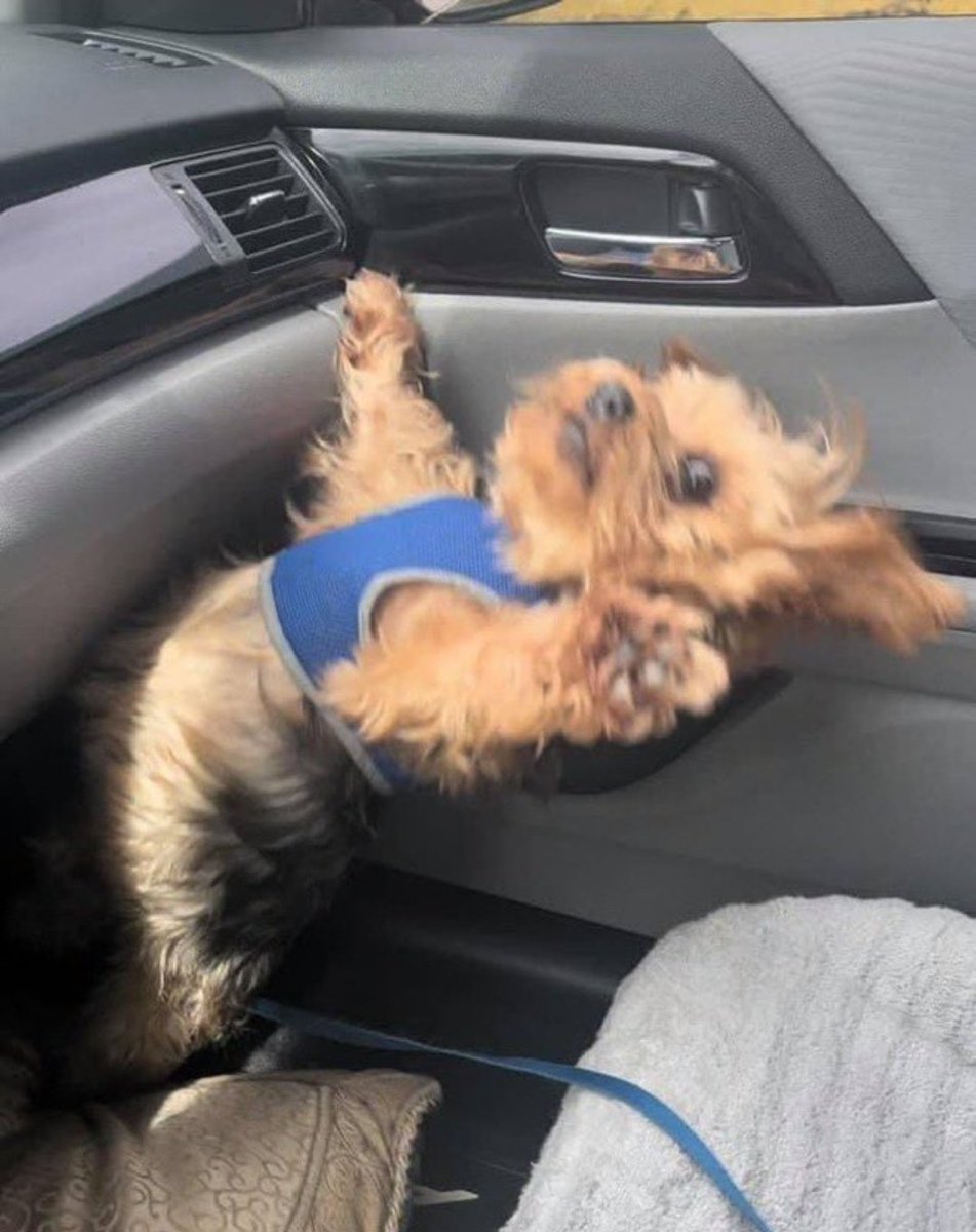 Me: *driving*

My mom at every turn: