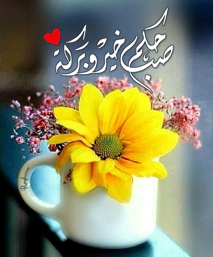 وطن مُر tweet media