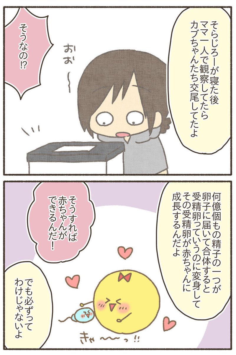 【再掲】赤ちゃんってどうやってできるの?8歳に説明してみた【2/5】
#漫画が読めるハッシュタグ 
#コミックエッセイ
#育児絵日記 #性教育 