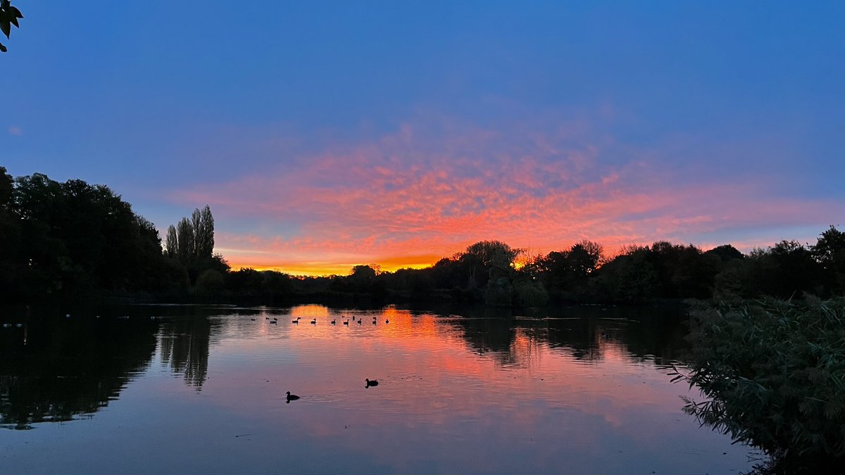 8:00 weer prachtig voor zonsopkomst #vrtweer #abdijvanpark #heverlee