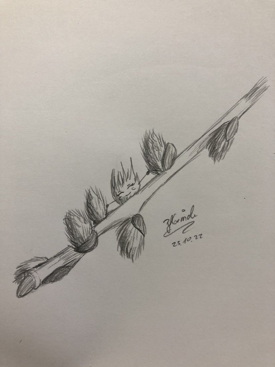 pflorinde's tweet photo. Tag 23 Weidenkätzchen #struepptober2022 #Struepptober @datGestruepp #traditionalart #Pencildrawing #sketchart #art #artist #artwork #ArtistOnTwitter #pencilsketch #drawings #draw @ArtMutuals @ReArtistron @ArtistRTweeters #drawingoftheday #lineartist #lineart #traditionalartist https://t.co/MQnHZTffaV