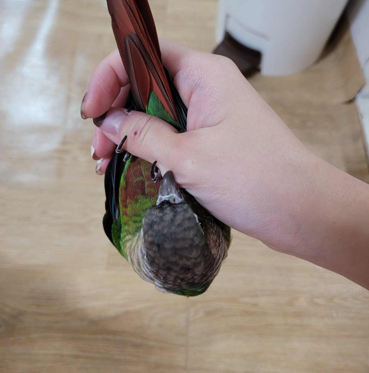 아ㅏㅏ잠만잠만 니가 이렇게 매달린거잖아ㅏ 아아아ㅏㅏㅏ아ㅏ앙ㄱ