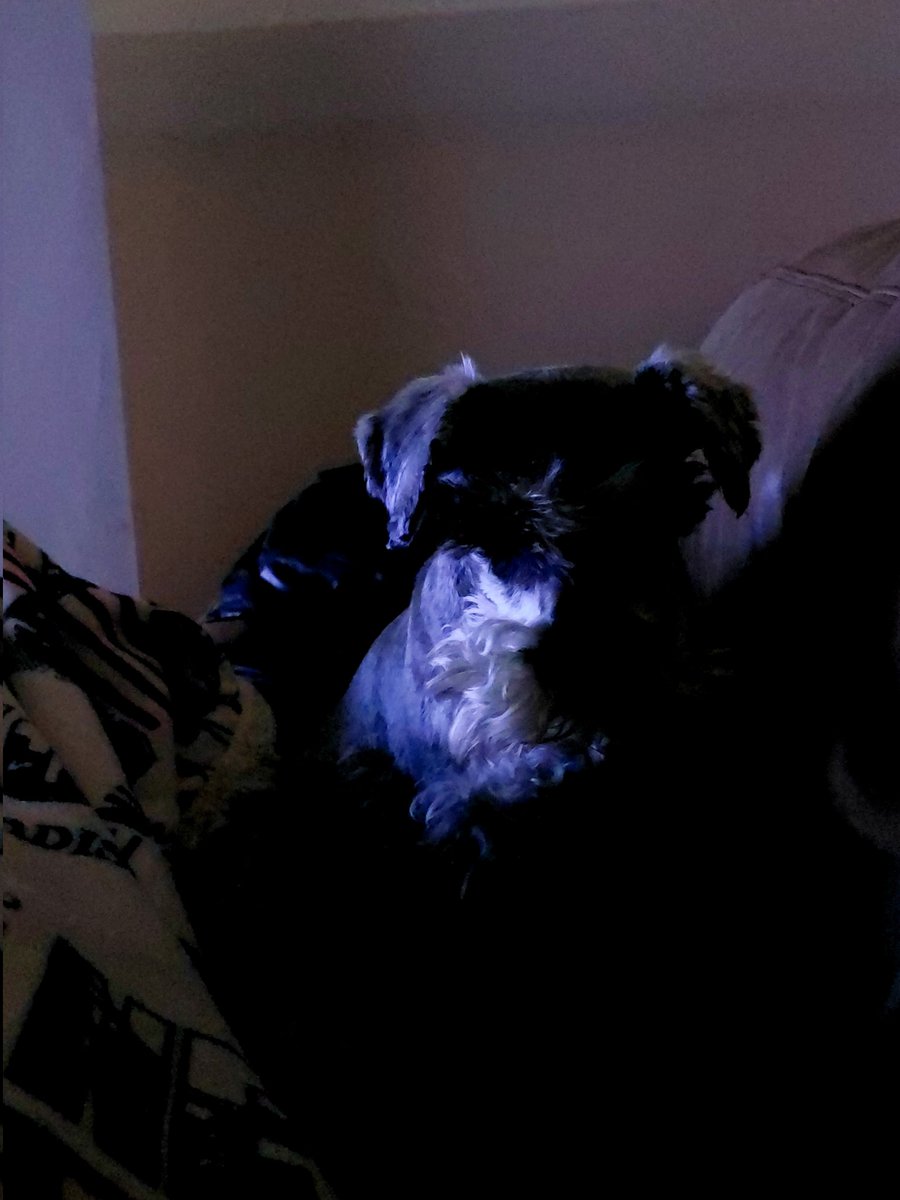 OT7luvHarbinger's tweet photo. Mom, when is this starting? 🥺 I'm sleepy 😴 @BTS_twt
#YetToCome_on_Weverse #DelayedStreaming https://t.co/xVpT0gOLbQ