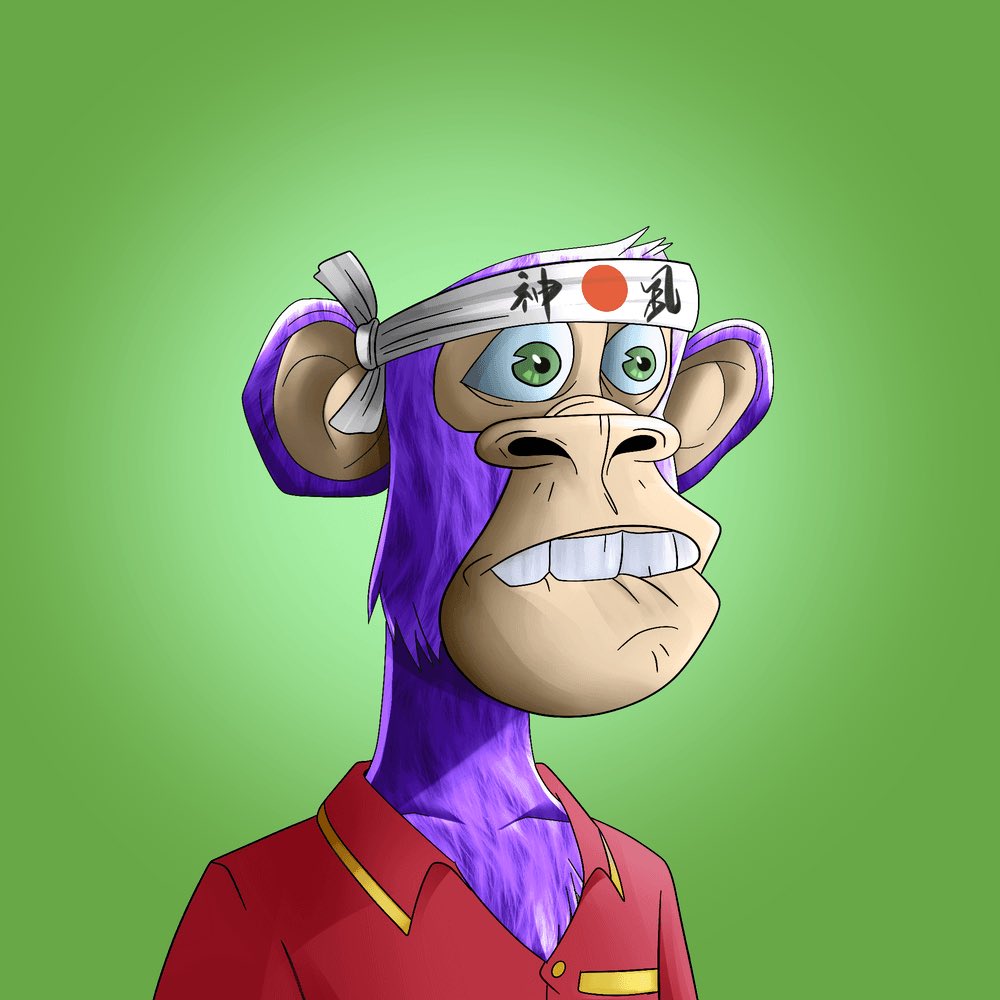 webiz101🧡$DOG tweet media