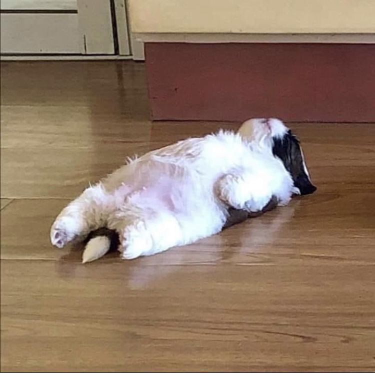 nchdaq's tweet photo. mood: พรุ่งนี้วันจันทร์อีกแล้วหรอ https://t.co/Xh0hxYE3Gy