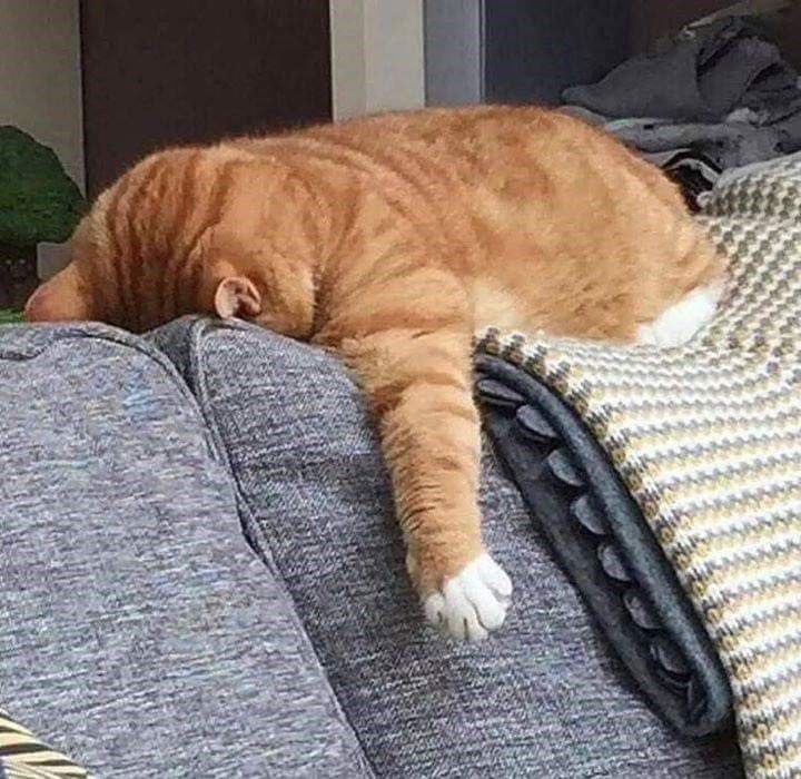 nchdaq's tweet photo. mood: พรุ่งนี้วันจันทร์อีกแล้วหรอ https://t.co/Xh0hxYE3Gy