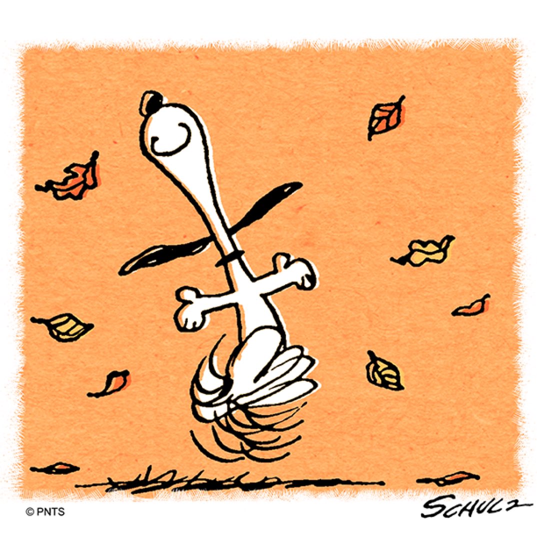 Peanuts_4Fans's tweet image. Get outside and play today! #TakeCareOfYourself