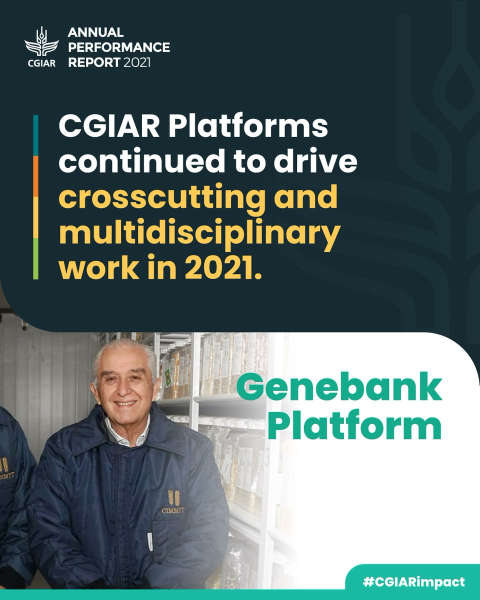 In 2021, @CGIAR_EiB made significant progress toward accelerating transformative change across CGIAR & #NARES breeding, & worked towards increased rates of genetic gain & reduced area weighted average age of varieties in farmers’ fields: on.cgiar.org/3bJgSdt #CGIARimpact