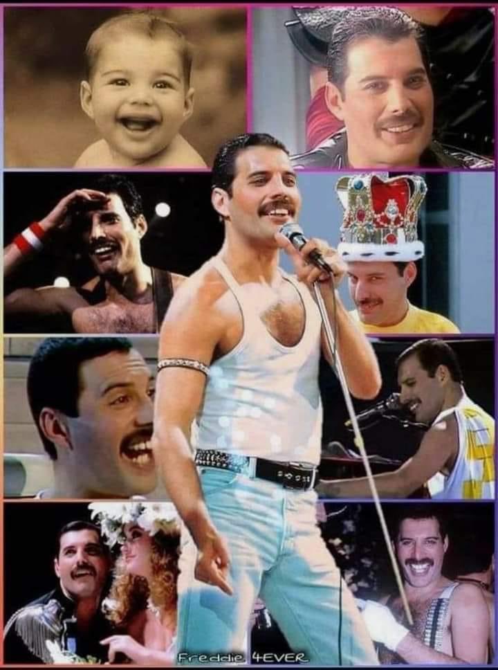 Wolfgang Grafen tweet media