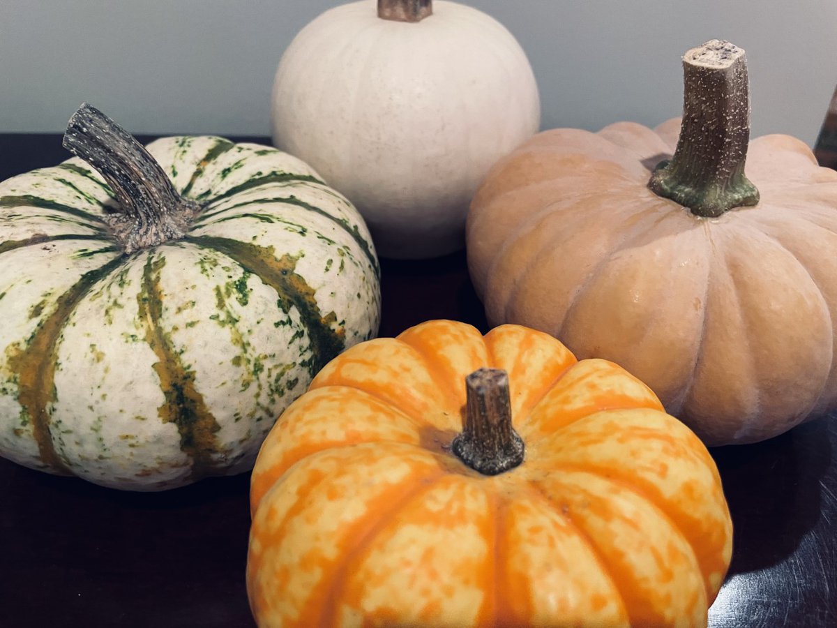 NatalieMarsh__'s tweet photo. #mentalhealth Day 22: We are 9 days away from Halloween. 🎃 And that makes me exceptionally happy. 🐈‍⬛🧡 #NatsChallenge #MimsPR https://t.co/9IG8HZuyGY