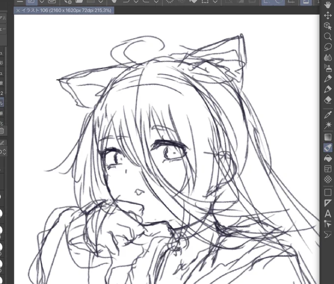 ネクストキャット 