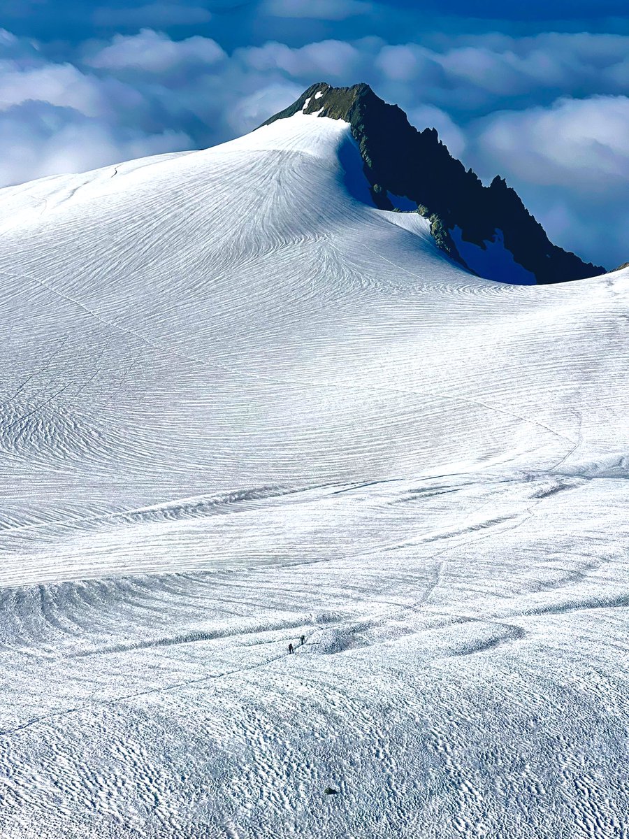 AntonaHillNFT's tweet photo. Sulphide glacier also in @NCascadesNPS 1 reason glaciers are important - Mountain glaciers help support the life of ecosystems from the mountain tops to the ocean.
#pnwcascades #glacier #explorewashington #pnw #mtshuksan #mountainphotography #alpine #alpinelife https://t.co/YliMBUfspR