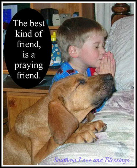 David Newman (@davidne42786019) on Twitter photo 