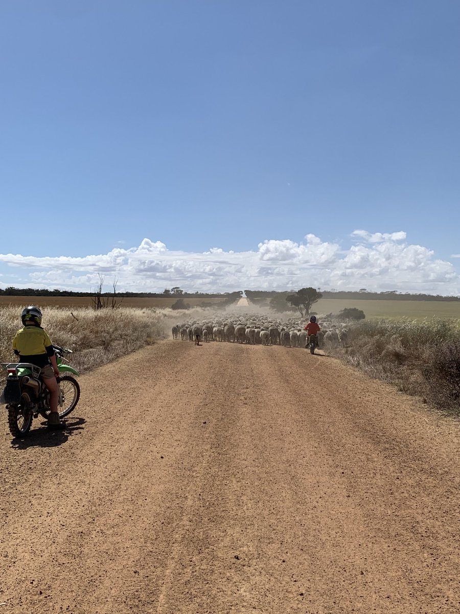 A bit of wknd work for the boys