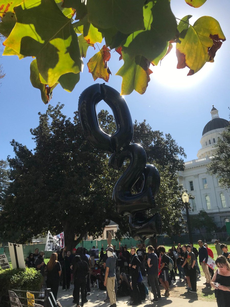 The Sacramento Branch of the Party for Socialism and Liberation and many others joined with <a href="/voices_strength/">Voices of Strength</a> to lift up families whose lives have been torn apart by police violence in commemorating #O22: National Day against Police Terror. #EndPoliceTerror #JailKillerCops