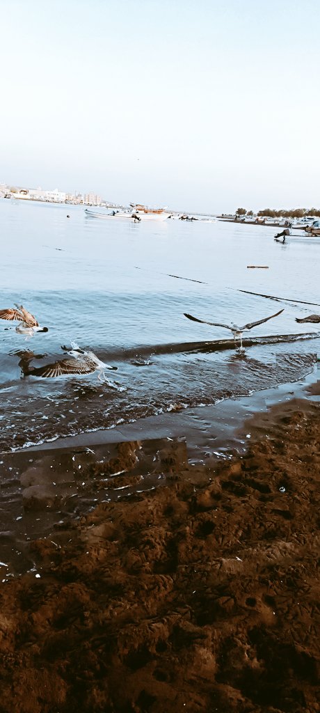 إبتسم، فليس هناك ما تخسره، فربك موجود، ورزقك مكتوب ، وعمرك محدود، كن جميلاً كي ترى الجمال حولك دائمًا..

طيب الله صباحكم بالمسرات والافراح