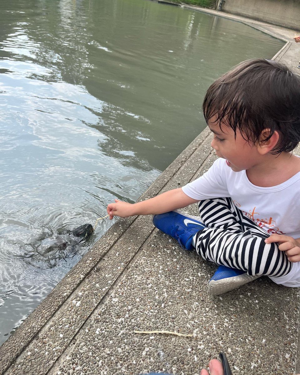 Big time animal lover here. Left his play date for a few to see the turtles. 😅🐢