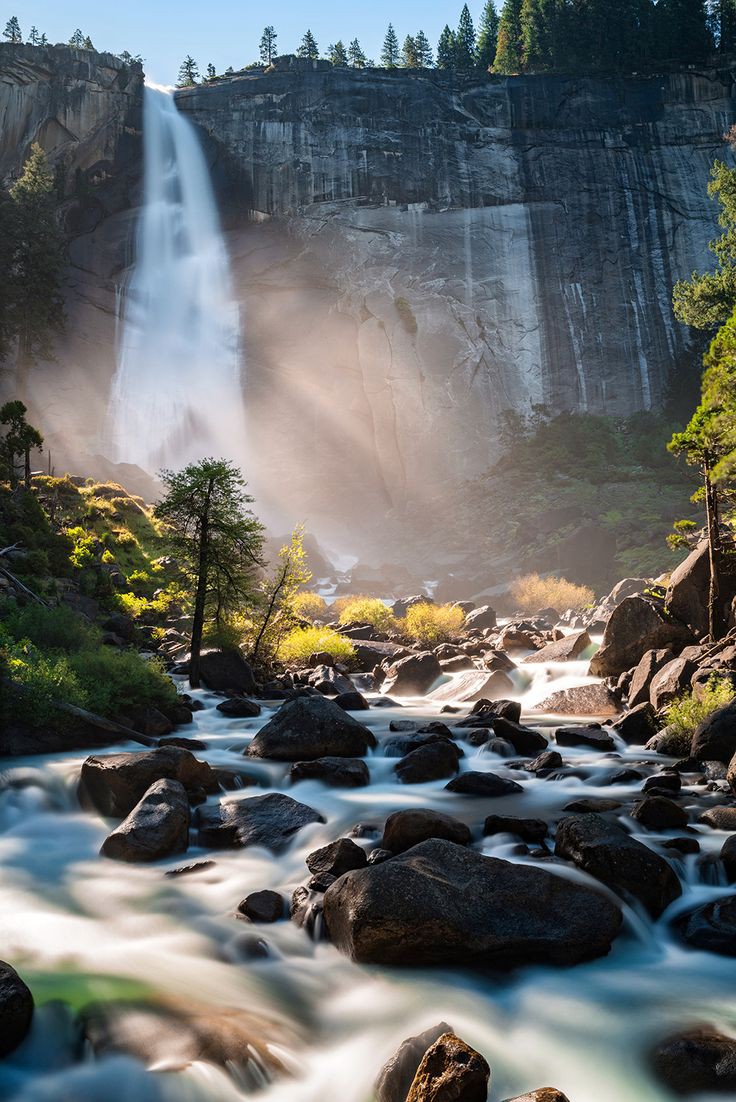 Yosemite National Park 🏞️