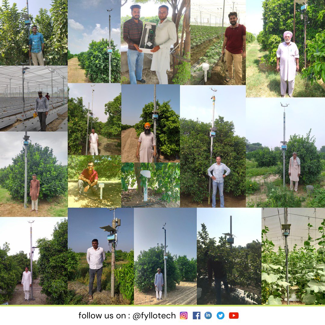 fylloTech's tweet image. पंजाब, हरियाणा और राजस्थान जैसे राज्यों तक फायलो कर रहा है किसानो की खेती में आनेवाली समस्याएं दूर | अच्छी फसल उगाने में किसानो को हो रही है मदद | फायलो के ऐप में किट और रोग का पूर्व अंदाज समझने के कारण, अतिरिक्त स्प्रे के लागत में किसानोंकी बचत हो रही है | #agriculture