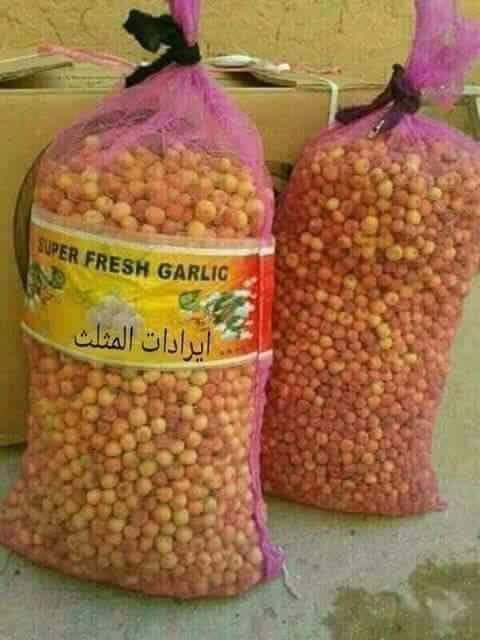 lybalwy31's tweet photo. اتعبونا جيراننا الجنوبيين وامعاتهم من توافهنا بأن ثروات القنوب تتعرض ل النهب ..
بحثت عن ثروة القنوب لم اجد غير الهرد و الورس والدوم ..
تفتكروا حد عامل مصانع لها و يصدرها للخارج ؟ https://t.co/DYqtejhjzO