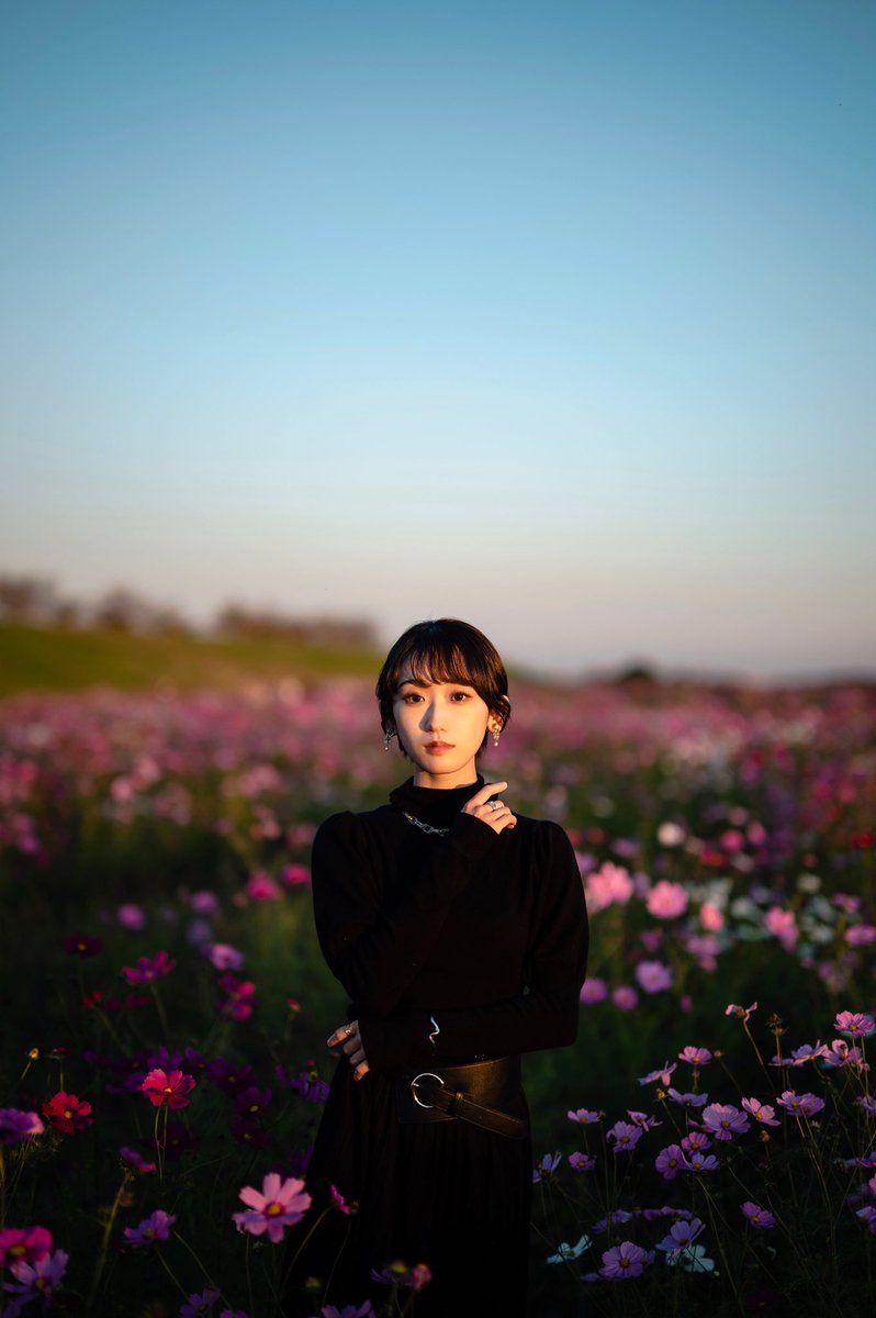 HimekaKawacolle's tweet photo. beautiful future  #cosmos #秋桜 https://t.co/jFfCEWgdHv
