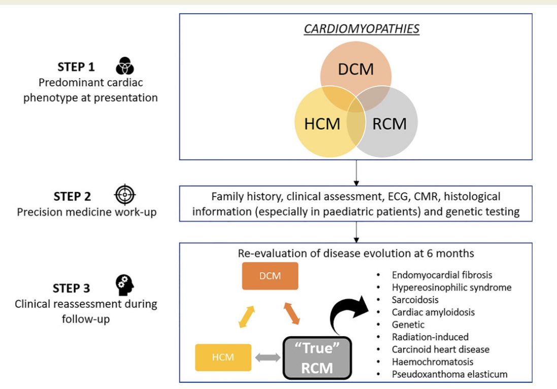 Tomas_MA_Cardio's tweet photo. Excelente revisión de miocardiopatia restrictiva. #CardioTwitter #CardioEd @ESC_Journals
@ANCAM_MEXICO @SIAC_cardio
@SONECOM_AC @smexcardiologia @SISIACOficial
https://t.co/qyBomSirqy https://t.co/lwJjYsBxiQ