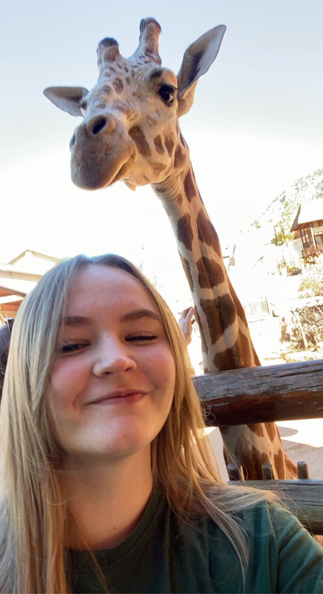 mad 🌿⚢ on Twitter "Giraffes are so cool I can’t believe they decided