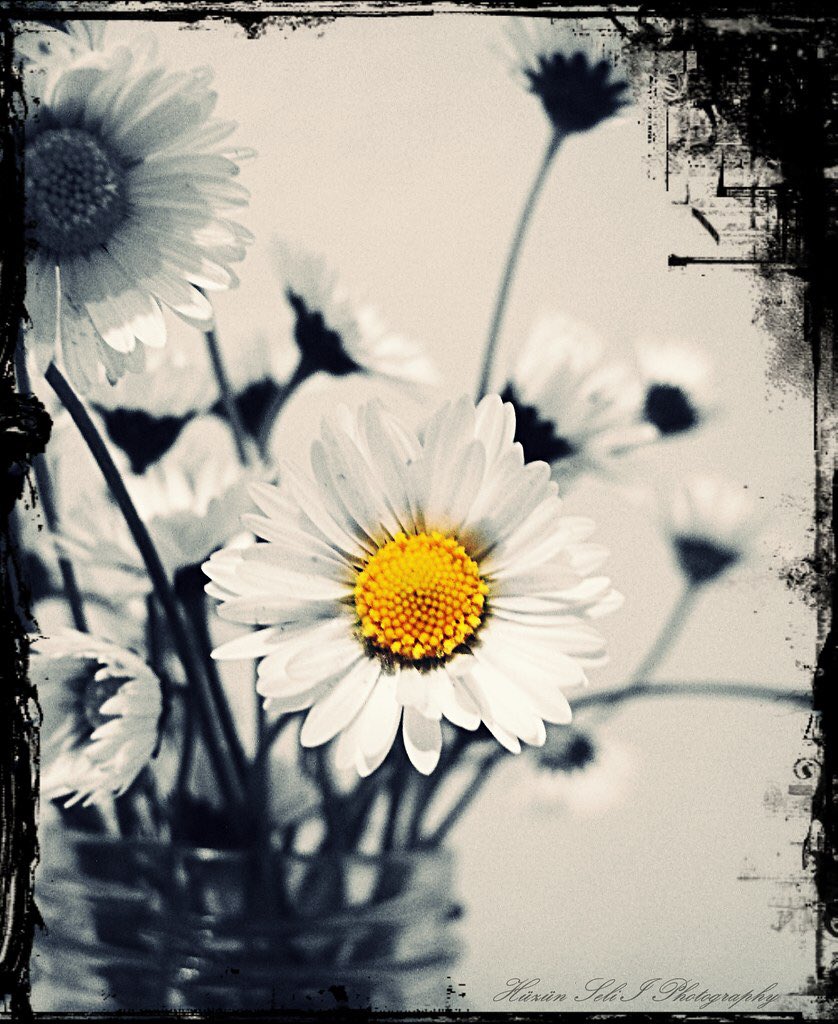 mabelaize012's tweet photo. Feliz domingo!!! https://t.co/F9WaQb6D4m