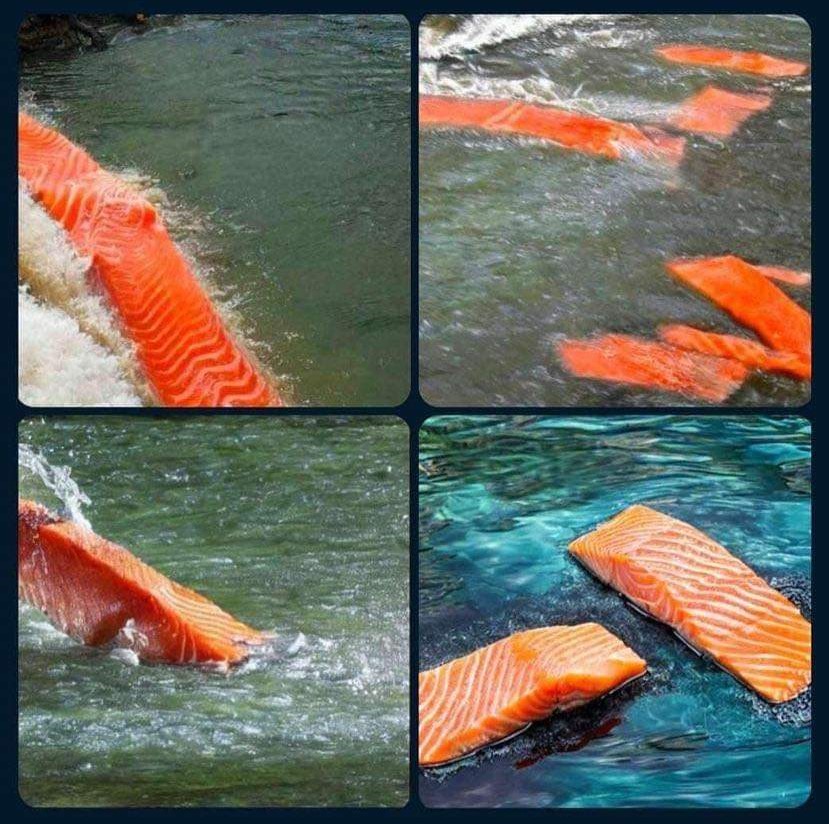 [原神] 讓AI畫鮭魚溯溪圖