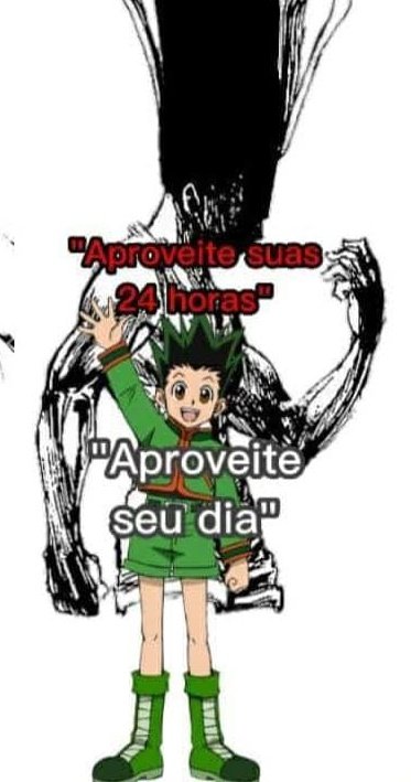 adm daquela página sobre o hiato de HxH (@hiatodehxh2) / X