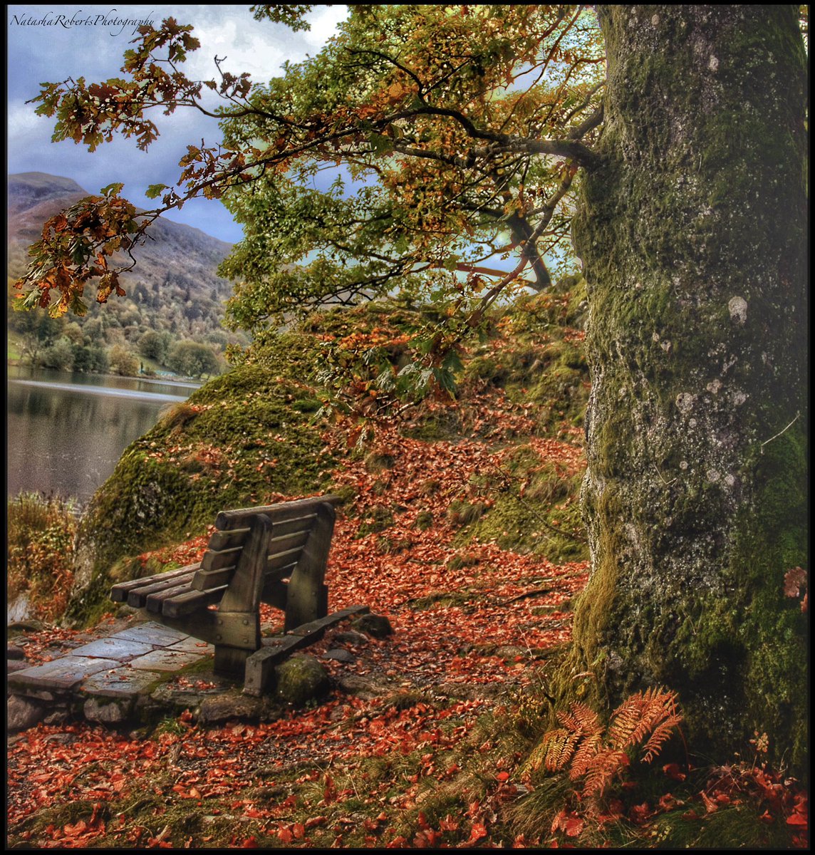 Natasha Roberts Imagery tweet media