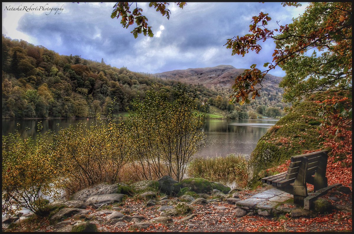 Natasha Roberts Imagery tweet media