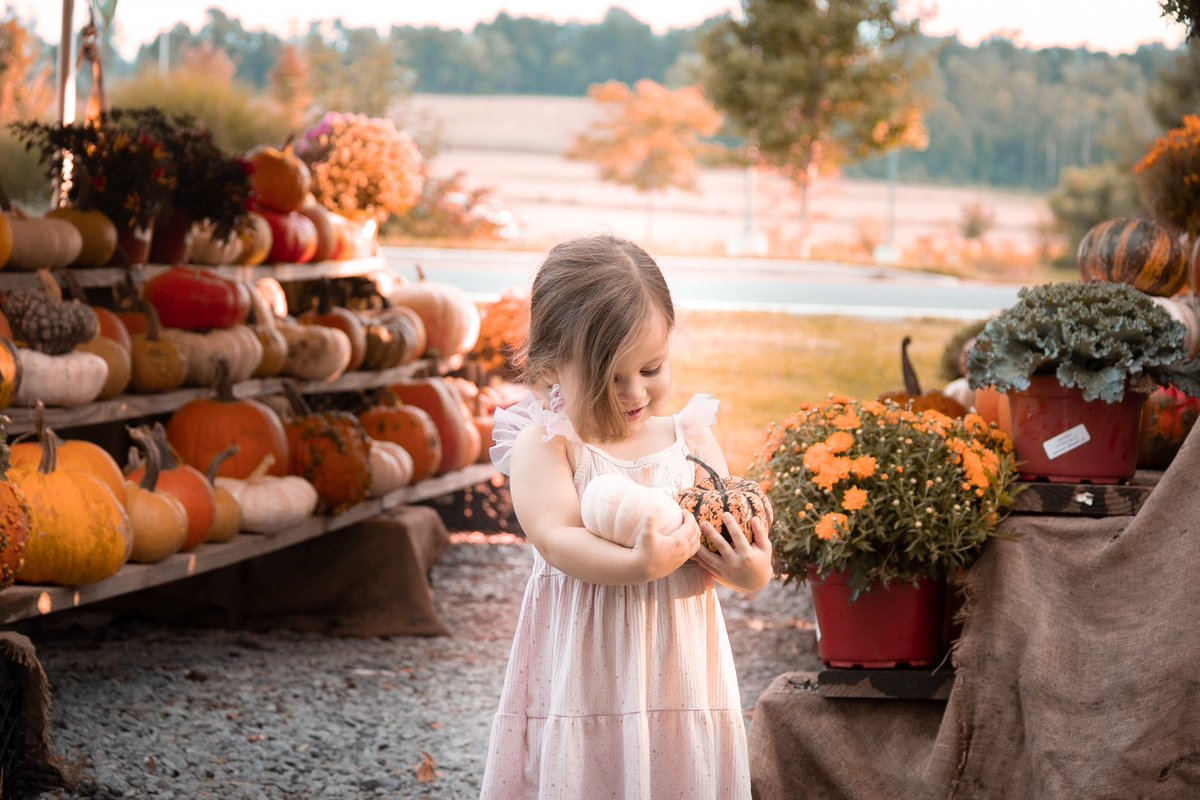 _robertorafaelo's tweet photo. Blessed beyond what I could ever deserve 🧡 #fallminisession #canon #Autumn https://t.co/jEgCDkguK4