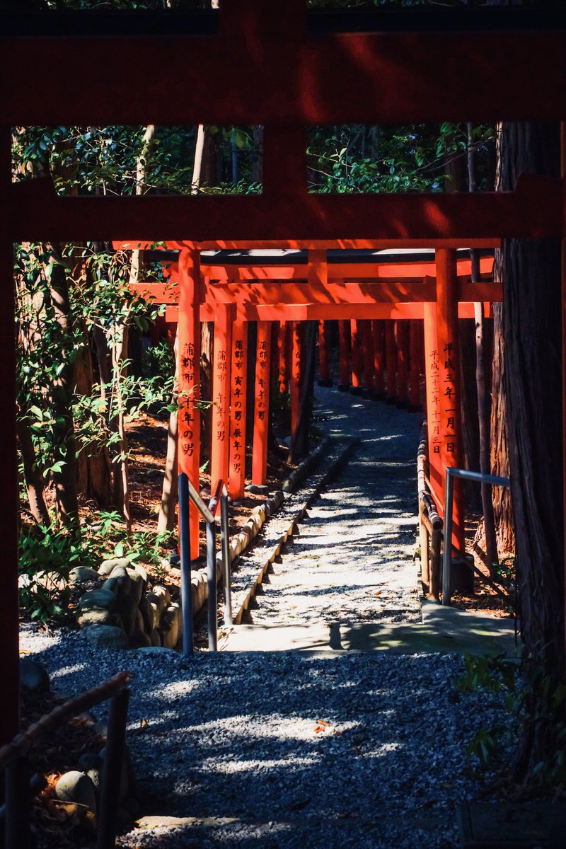 「鳥居」

#写真好きな人と繋がりたい
#ファインダー越しの私の世界 
#FUJIFILM 
#photography