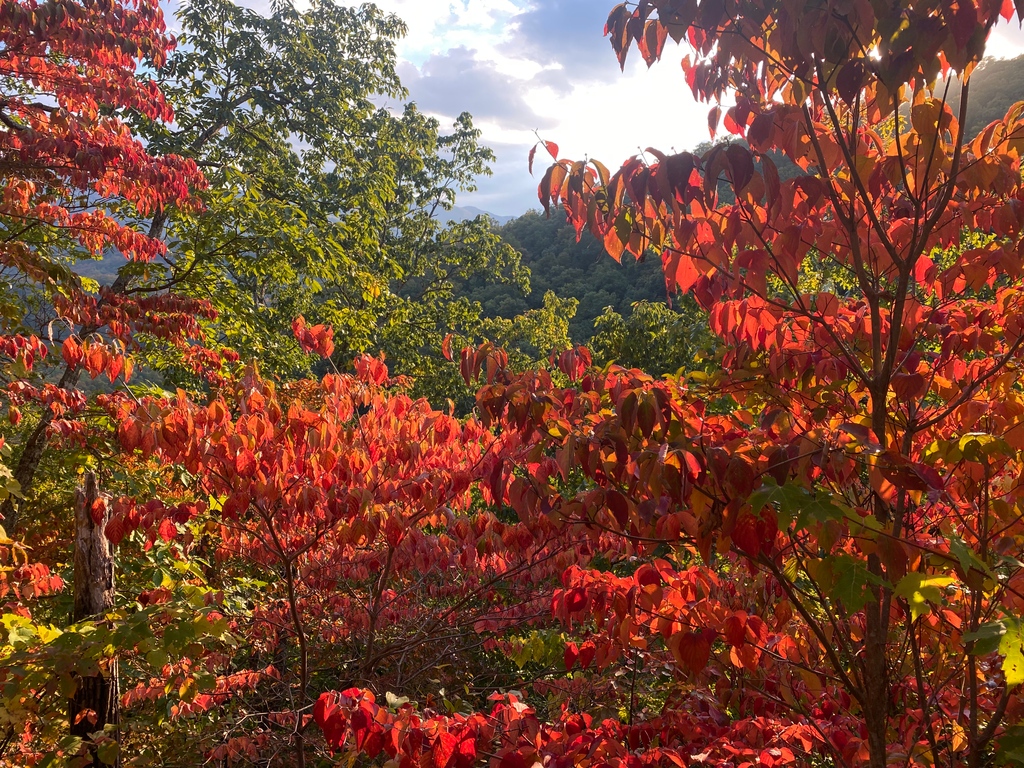 Radha Mitchell (@radha_mitchell) on Twitter photo 