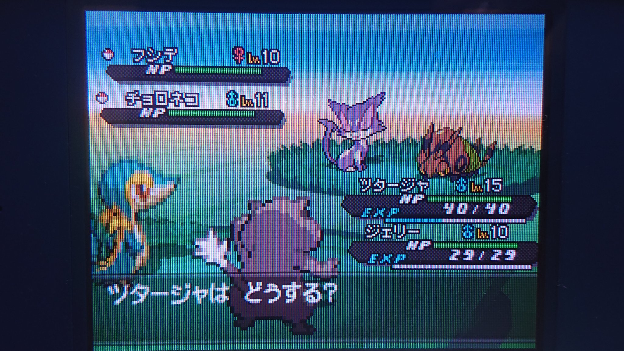 Daiki Bw2色旅 Pokepoke Daiki Twitter