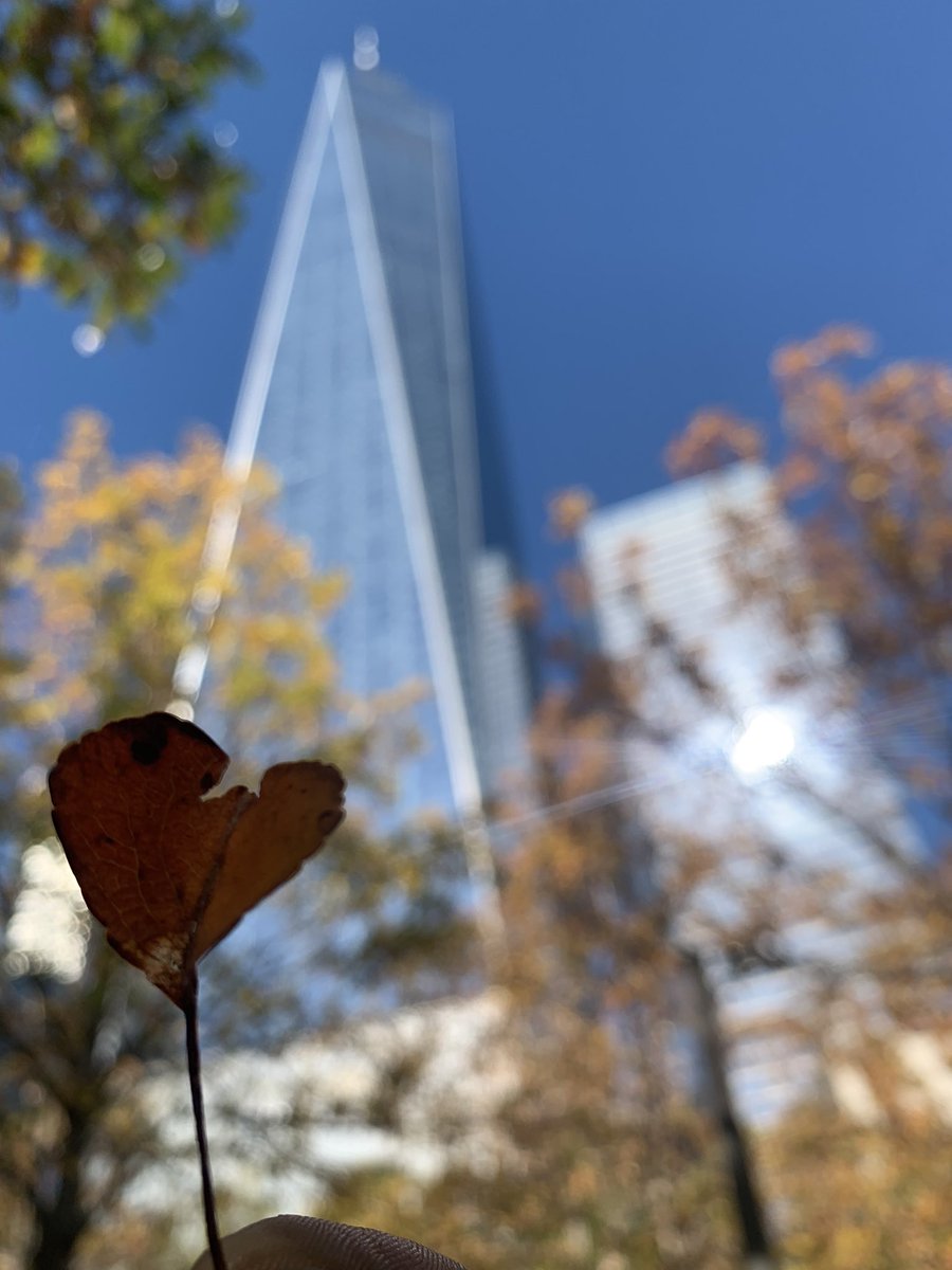 AitkenMaths's tweet photo. Another amazing day in #NewYork with @acc_academy we visited Liberty Island, Wall Street, 9/11 memorial, had a great meal, Top of the Rock and lots of walking. @UnitedLearning #educationwithcharacter #TEAMvalues https://t.co/1SnfQecTVk