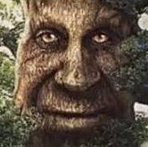 Lucky_LoochDotA's tweet photo. Machine! I have taken a selfie with the funny tree! #ultrakill #maxor https://t.co/rW4PE1izXs