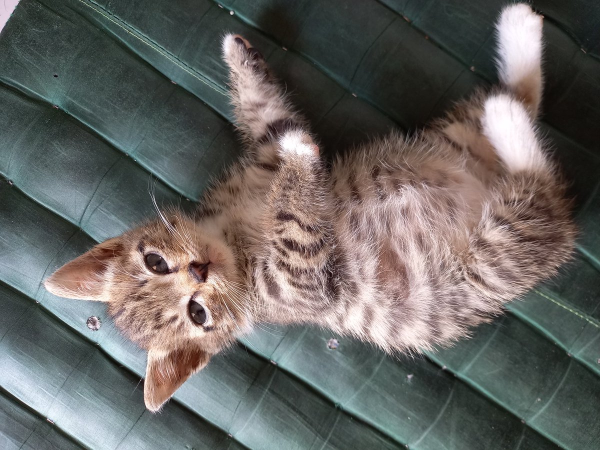 barawk_'s tweet photo. tutorial tidur https://t.co/AawWiwUfzV