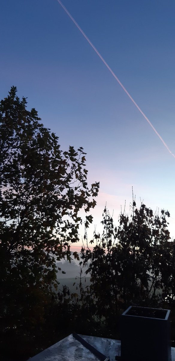 Wind_im_Haar's tweet photo. Guten Morgen https://t.co/voyHfQTyS6