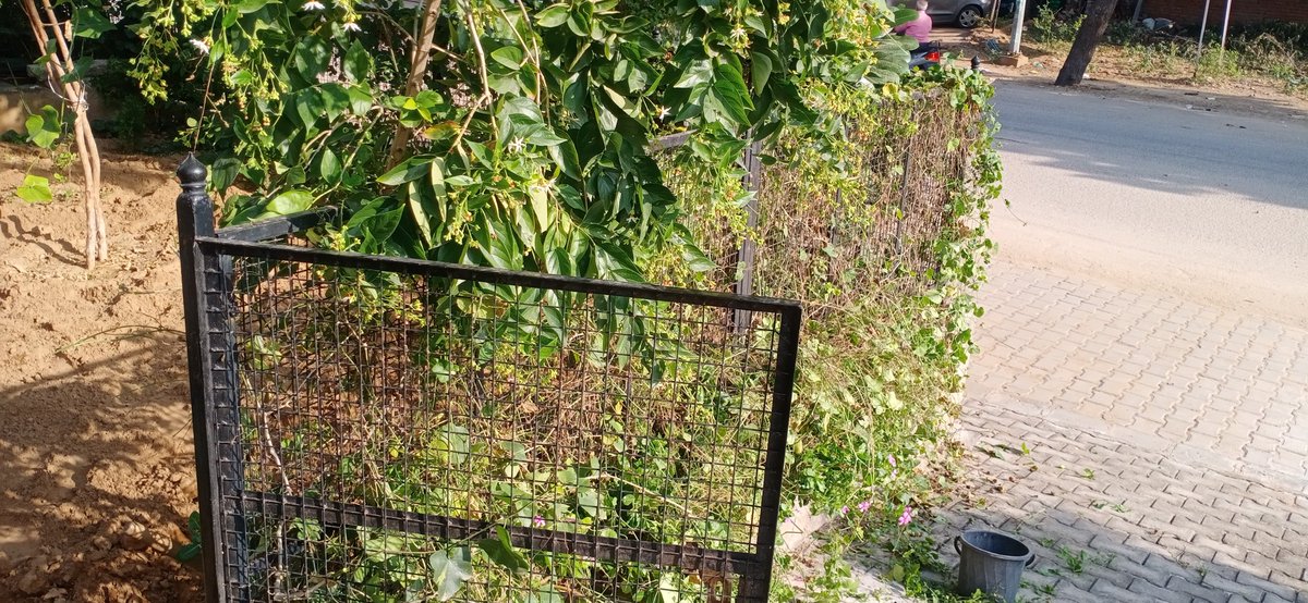 neeraj8848's tweet photo. #tweetwithsweat
Go Green like #Greenko
Let's celebrate Diwali. Mine is bit paseenafied with some cool run and मजदूरी💪💪. Say NO to Fire Crackers. Contribute your part to the #environment 🌱☘️🌿🌲.
#wrd #run #paseenalok #pindathon @RajGovOfficial @RajCMO @GreenkoIndia https://t.co/siP55haiWz