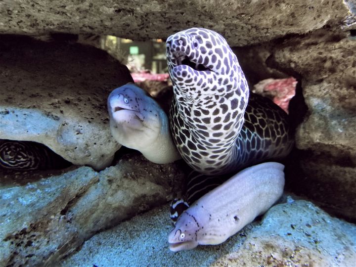 Bring your crew! Experiences are better when we stick together. 💙
aquarium.co.za