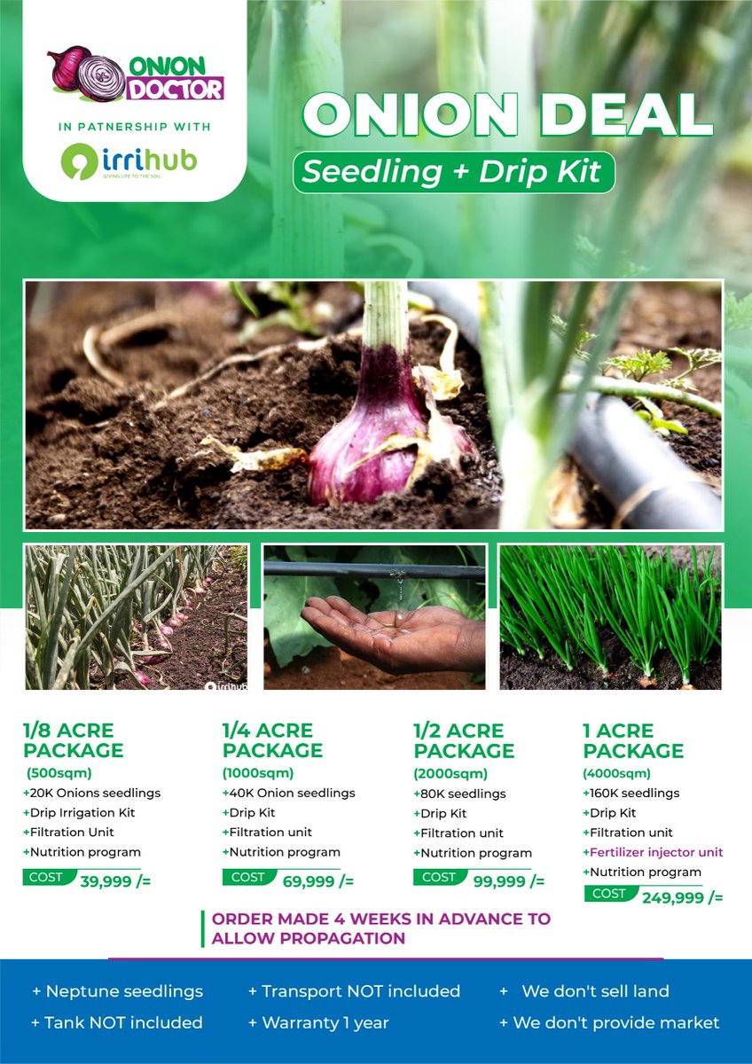 See all the value packs we have with @mynzagric254 and @oniondoctorLTD - Garlic seedlings + Drip Kit - Onion seedlings + Drip Kit - Avocado seedlings + Drip Kit - Citrus, Mangoes seedlings + Drip Kit V.pack comes with agronomist support. Share widely, a farmer needs this