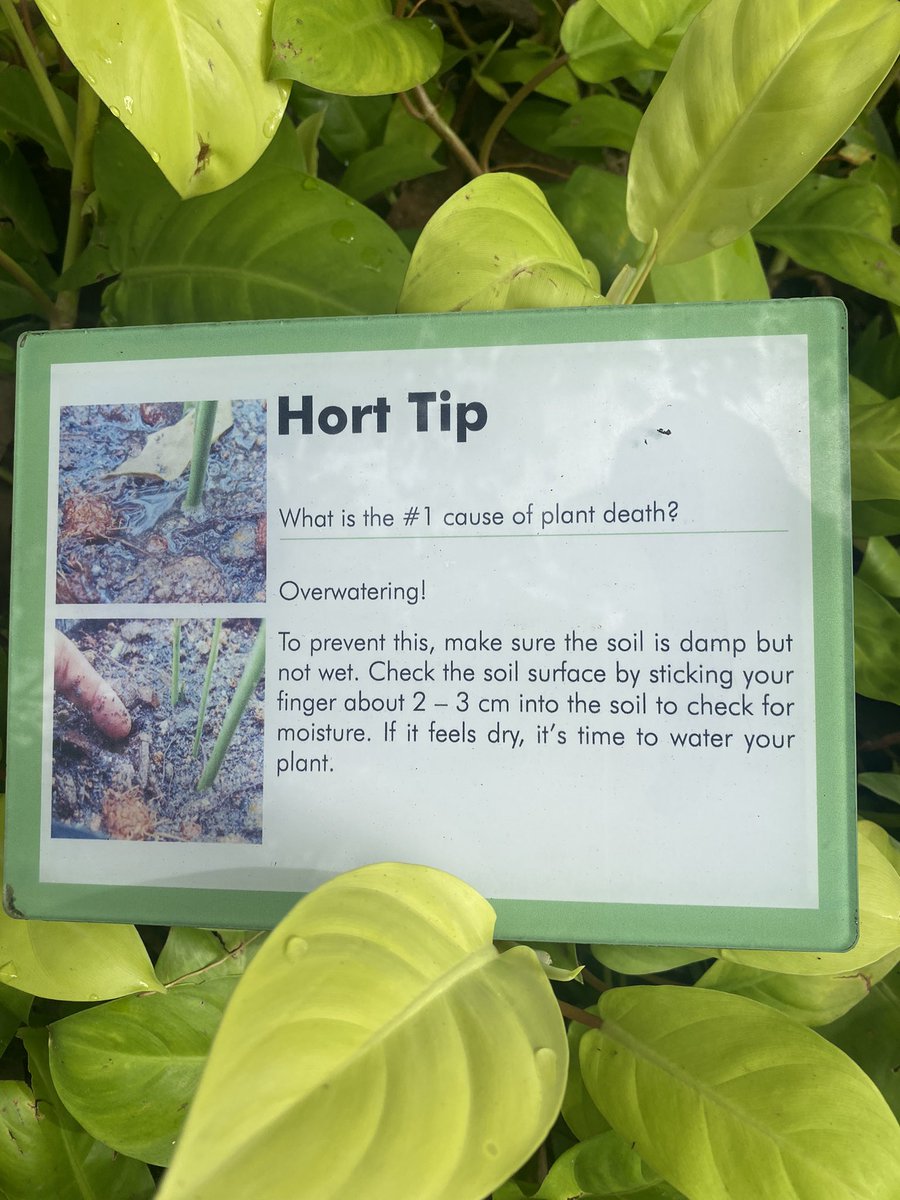 I learnt something today #hortpark #singapore