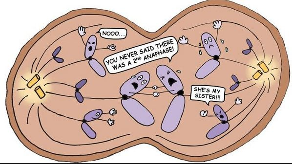 saihtec's tweet image. That&apos;s true love of siblings!!!!! @saihtec